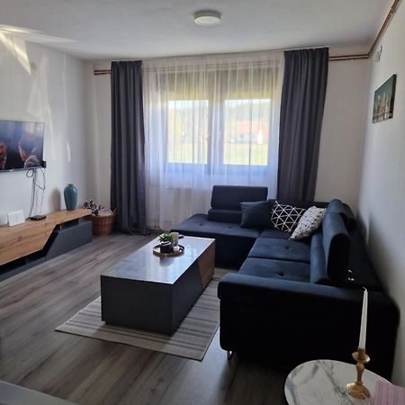 Rooms & Apartment Milan Saborsko Exterior foto